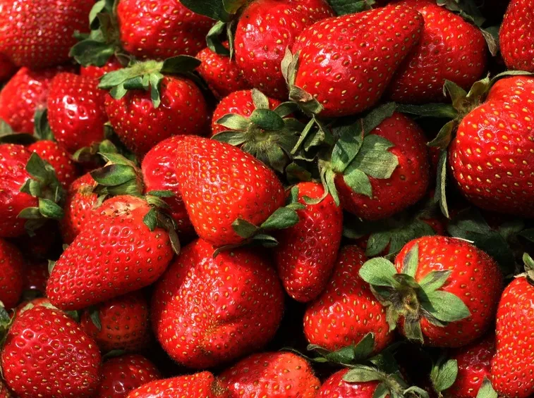 fragole