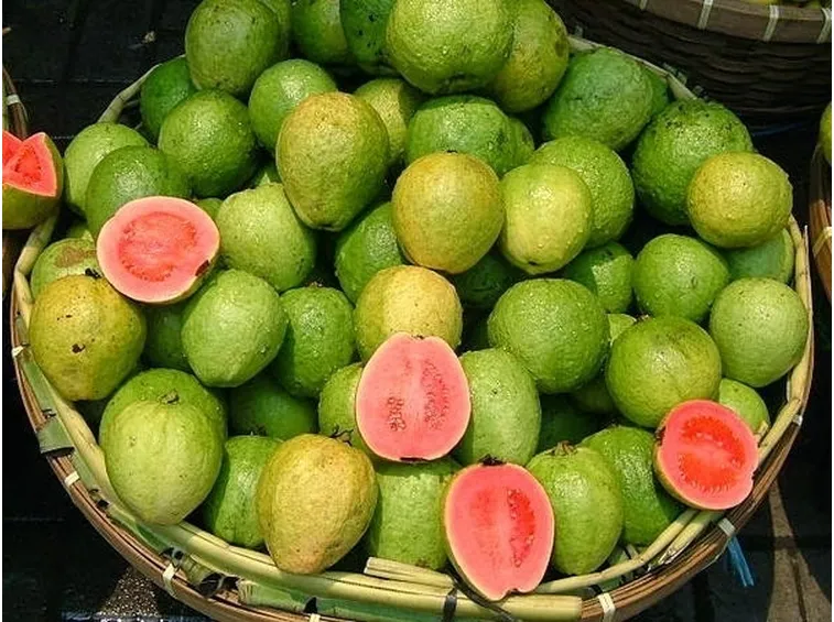 Frutti di guava
