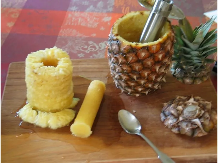 Gambo dell'ananas