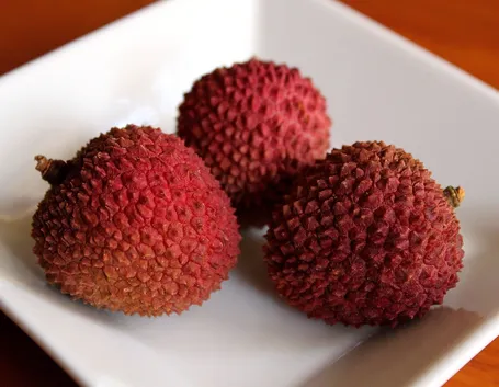 Frutto del licis