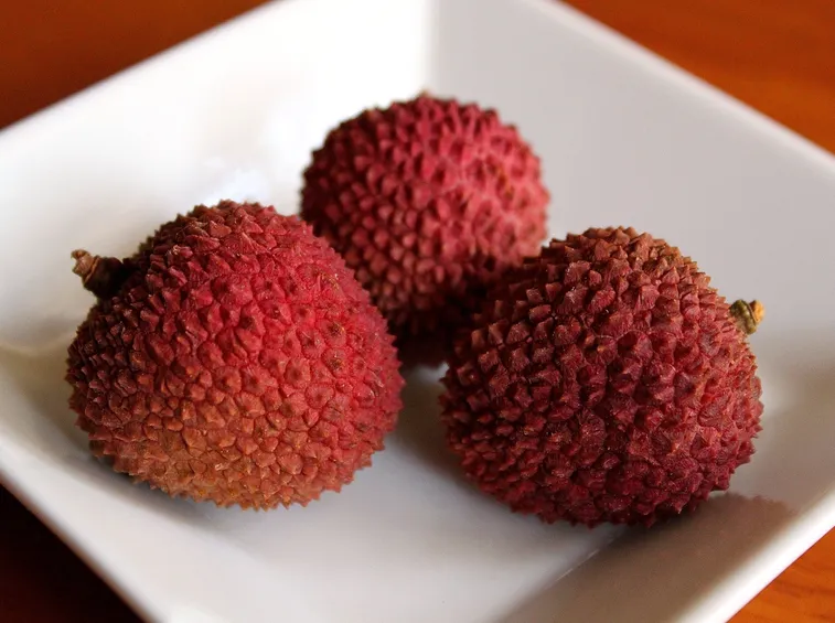 Frutto del licis
