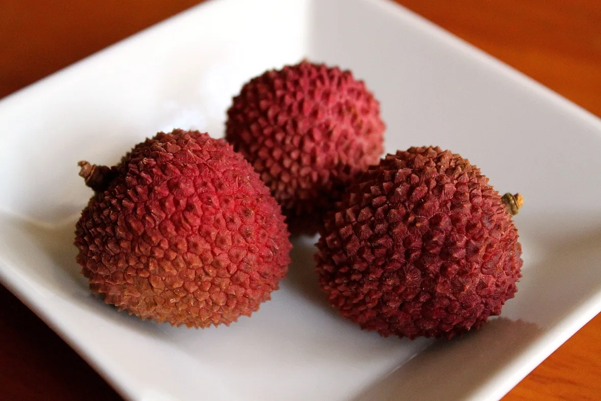 Frutto del licis