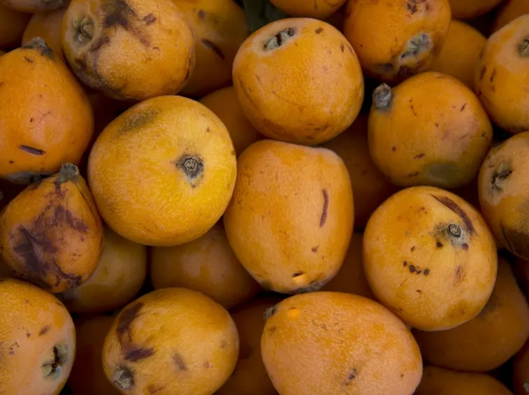 nespole mature