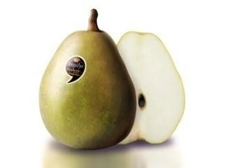 Varietà Angelys