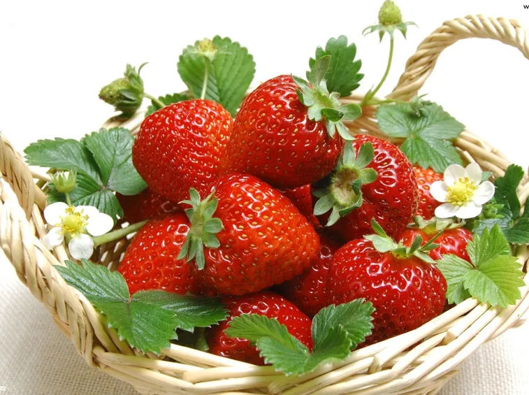 Fragole pronte al consumo