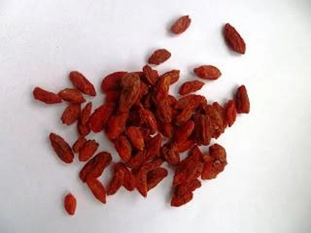 bacchegoji1