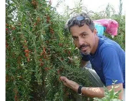 goji1