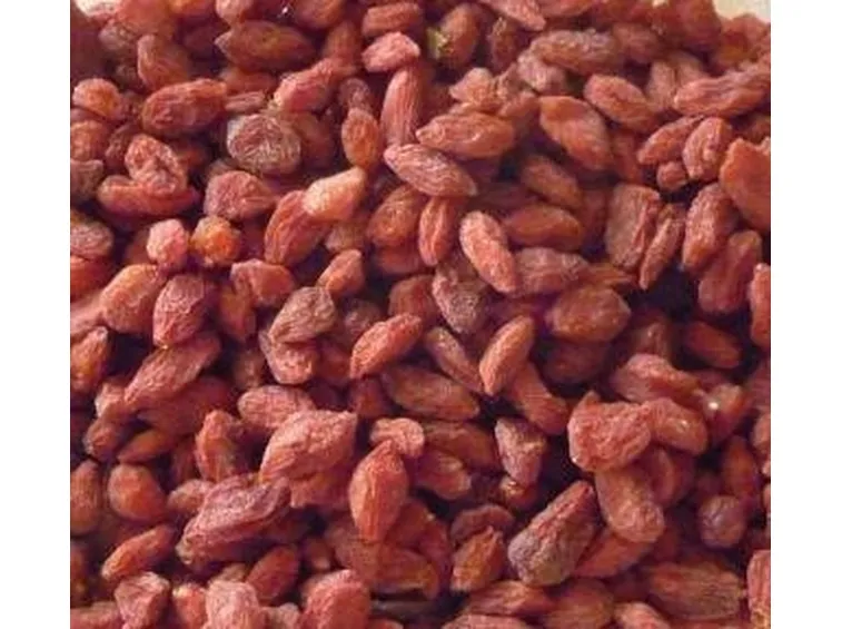 goji2-1