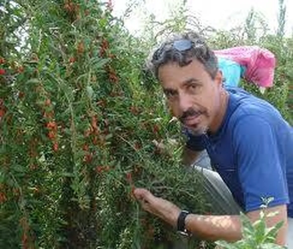 goji1