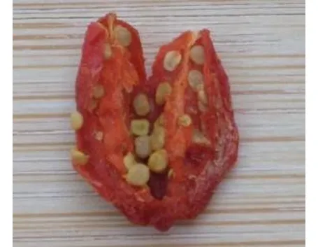 semidigoji