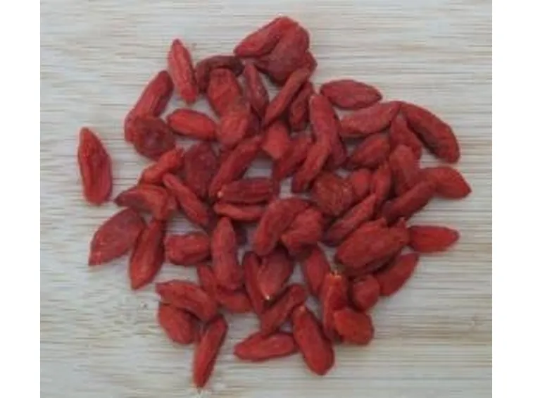 bacchegoji4