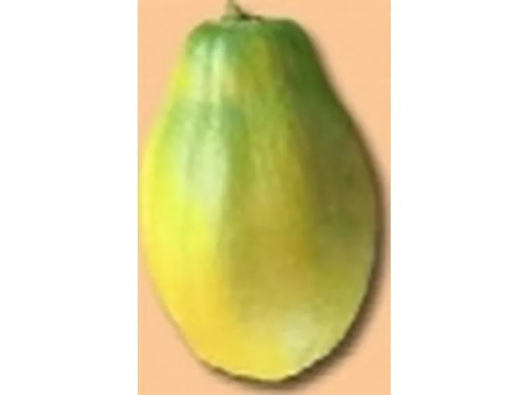 frutti esotici1