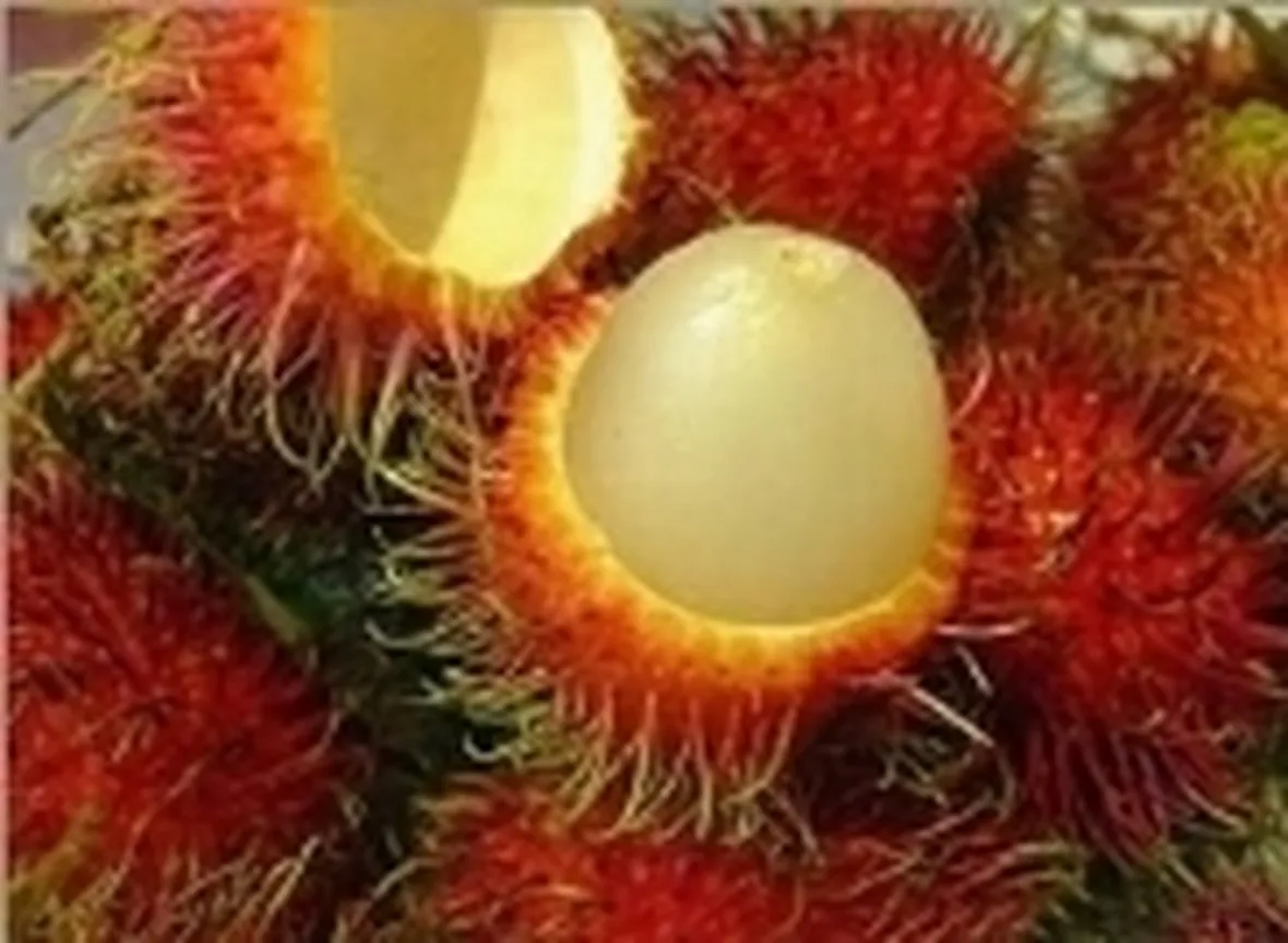 frutti esotici