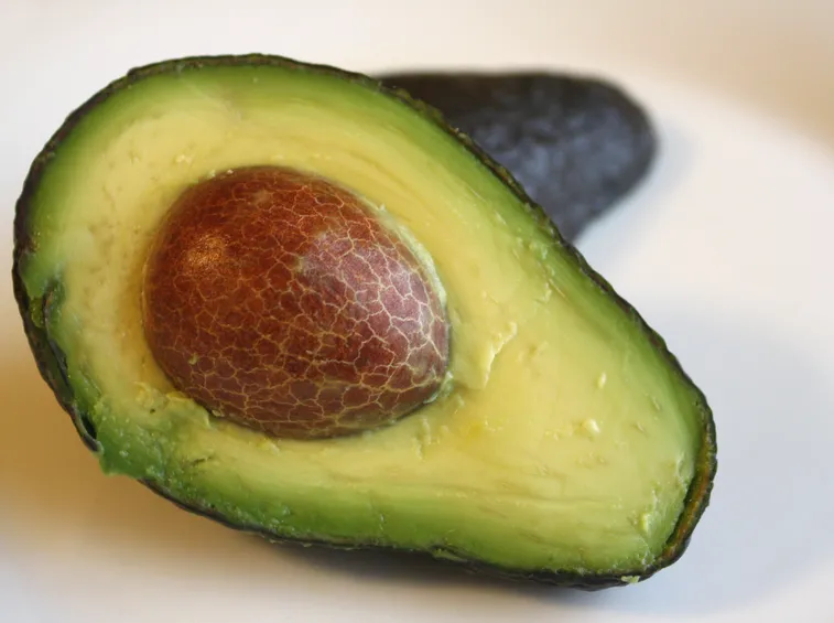 semi di avocado