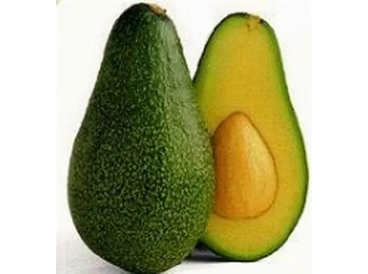 avocado2