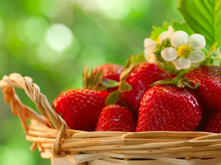 Cesto di fragole