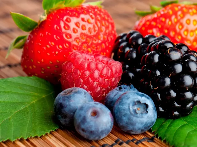 frutti di bosco 