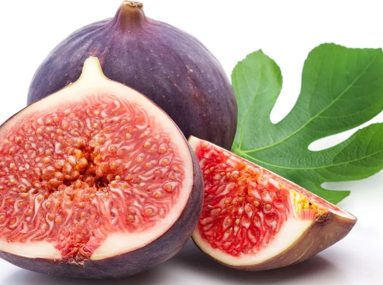 fico frutto