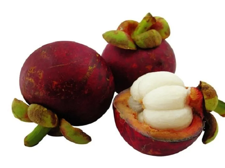 Frutto garcinia