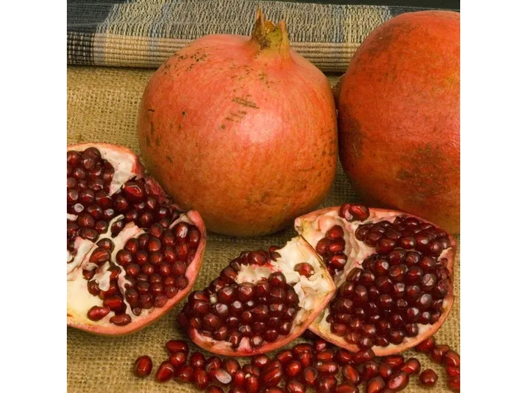 Frutto melograno