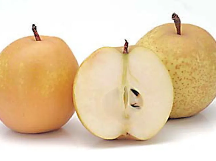 Frutti nashi