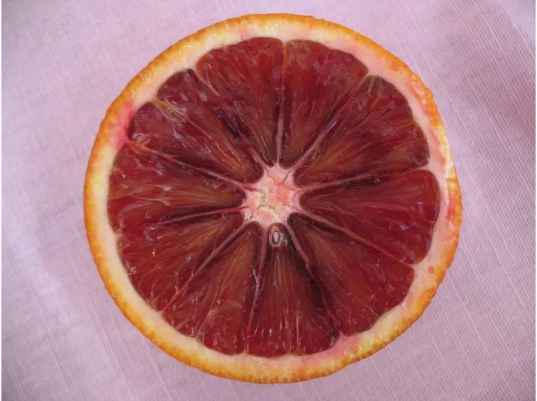 arancia rossa 2