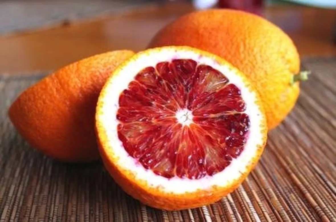 arancia rossa