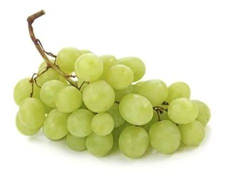 uva bianca
