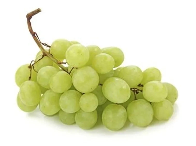 uva bianca