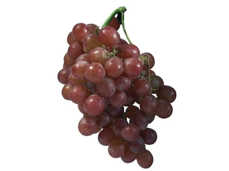 grappolo d'uva