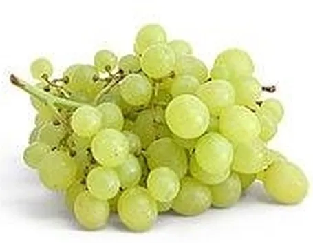 uva bianca