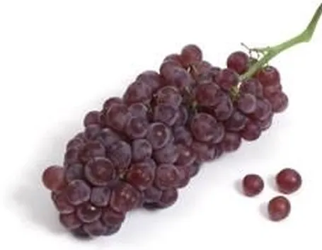 Uva Champagne
