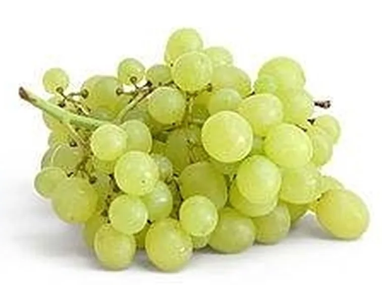 uva da tavola