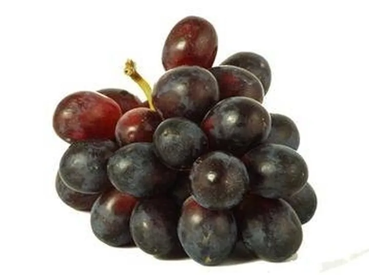 uva nera 2