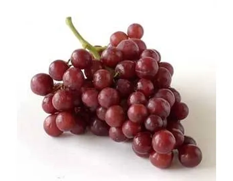 uva rossa