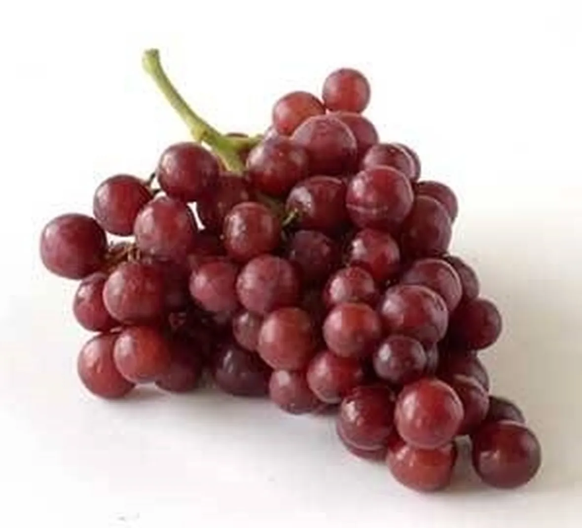 uva rossa
