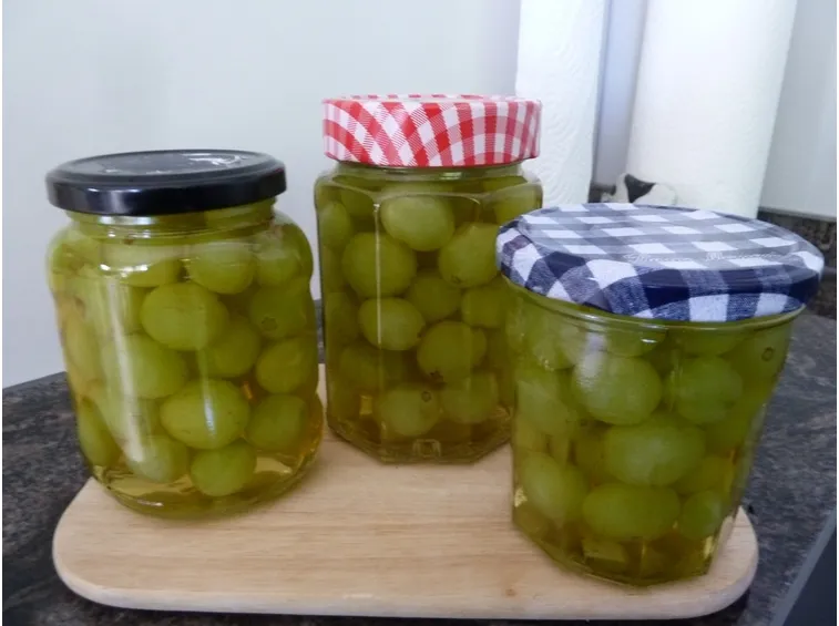 uve sotto grappa