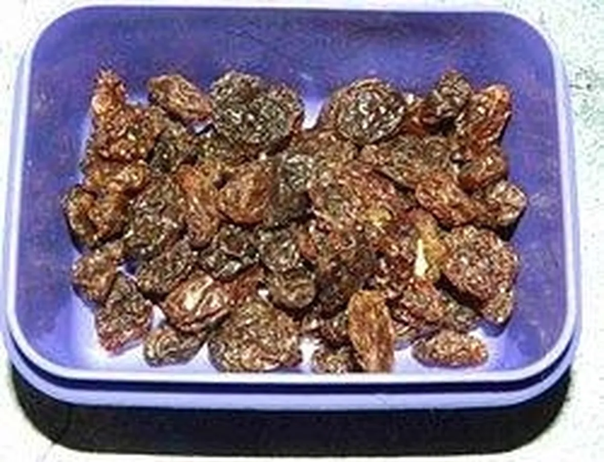 uva sultanina