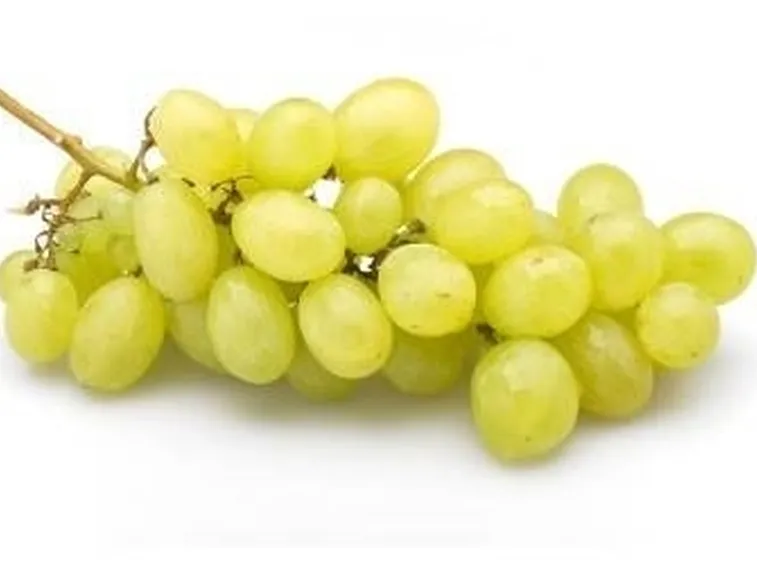 uva vittoria 2