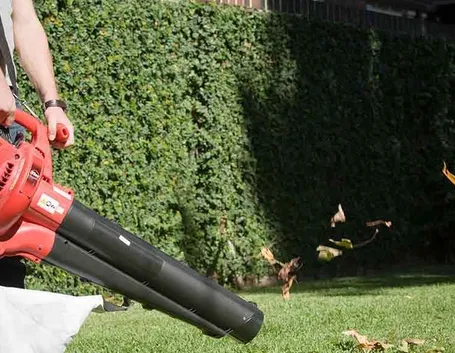 aspira foglie per giardino