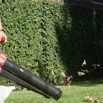 aspira foglie per giardino