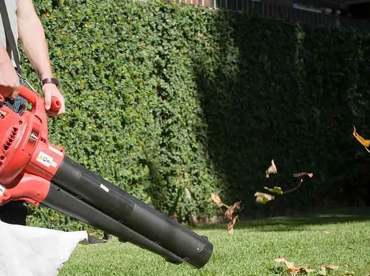 aspira foglie per giardino