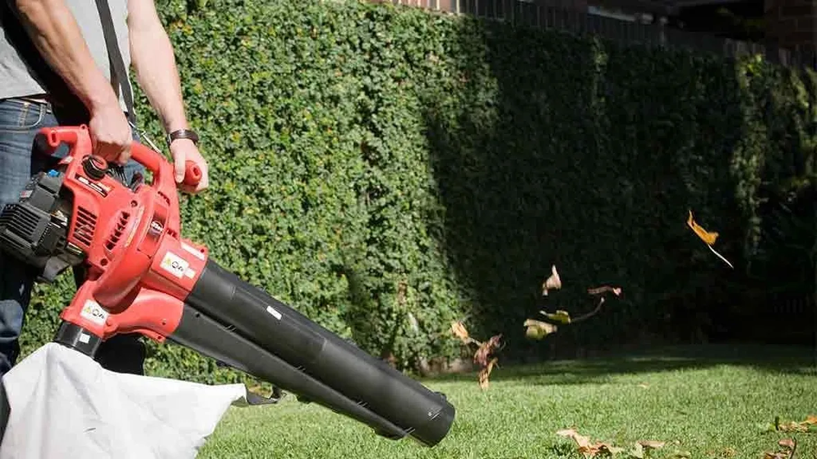 aspira foglie per giardino