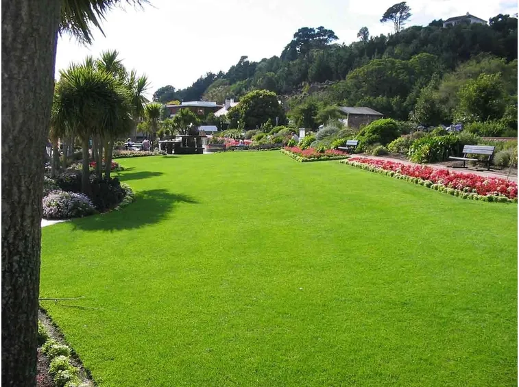 giardino