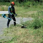 Decespugliatore a scoppio