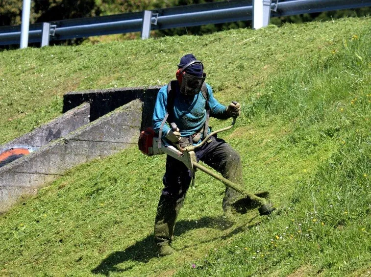Decespugliatore professionale
