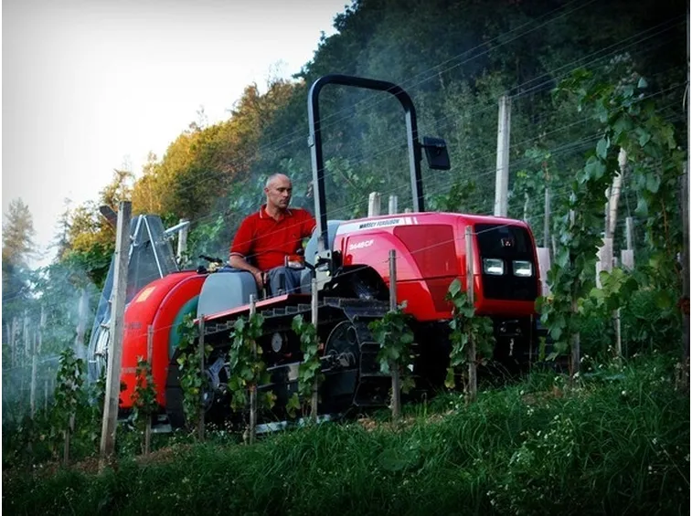 Cingolato al lavoro