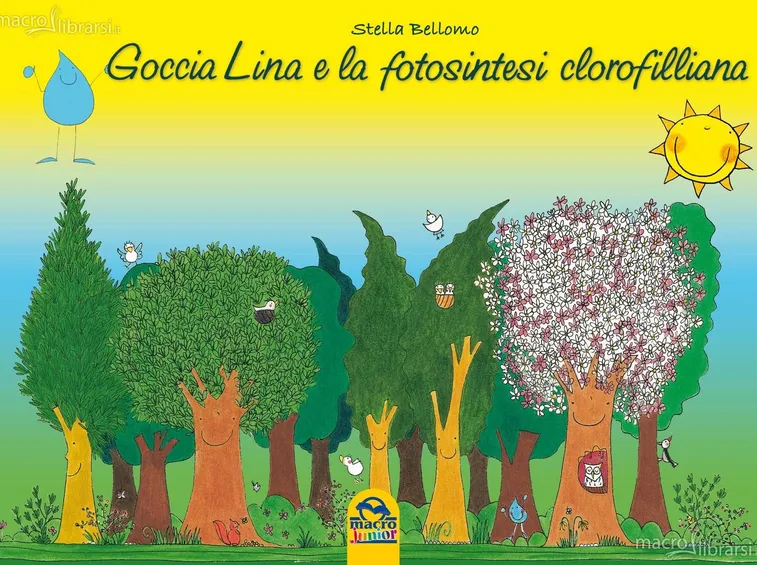 Un libro per bambini sulla fotosintesi clorofilliana