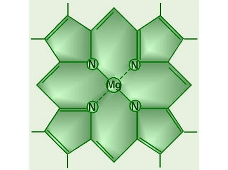 magnesiopiante