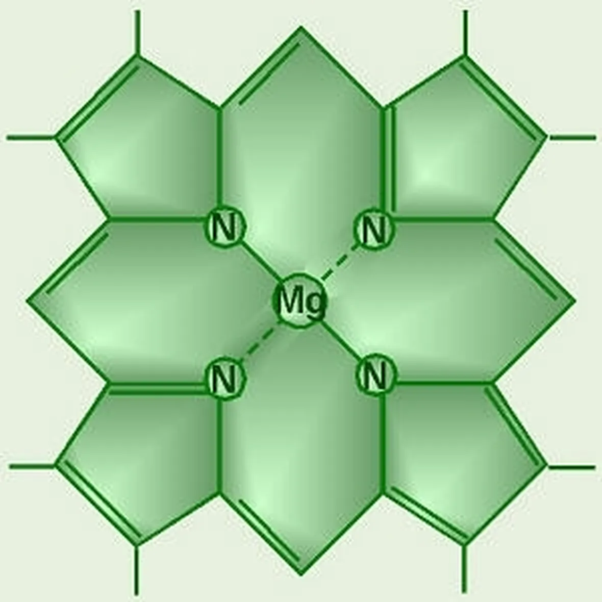 magnesiopiante